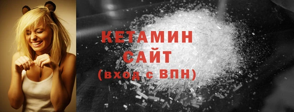 индика Бородино