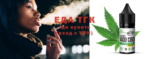 индика Бородино