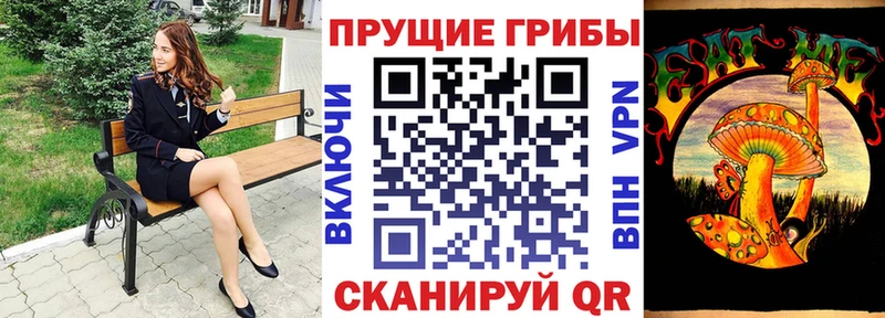 MEGA зеркало  цены наркотик  Задонск  Галлюциногенные грибы Psilocybe 